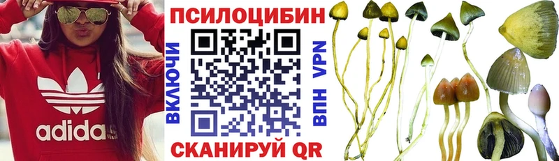 купить наркотик  Тырныауз  OMG   Псилоцибиновые грибы ЛСД 